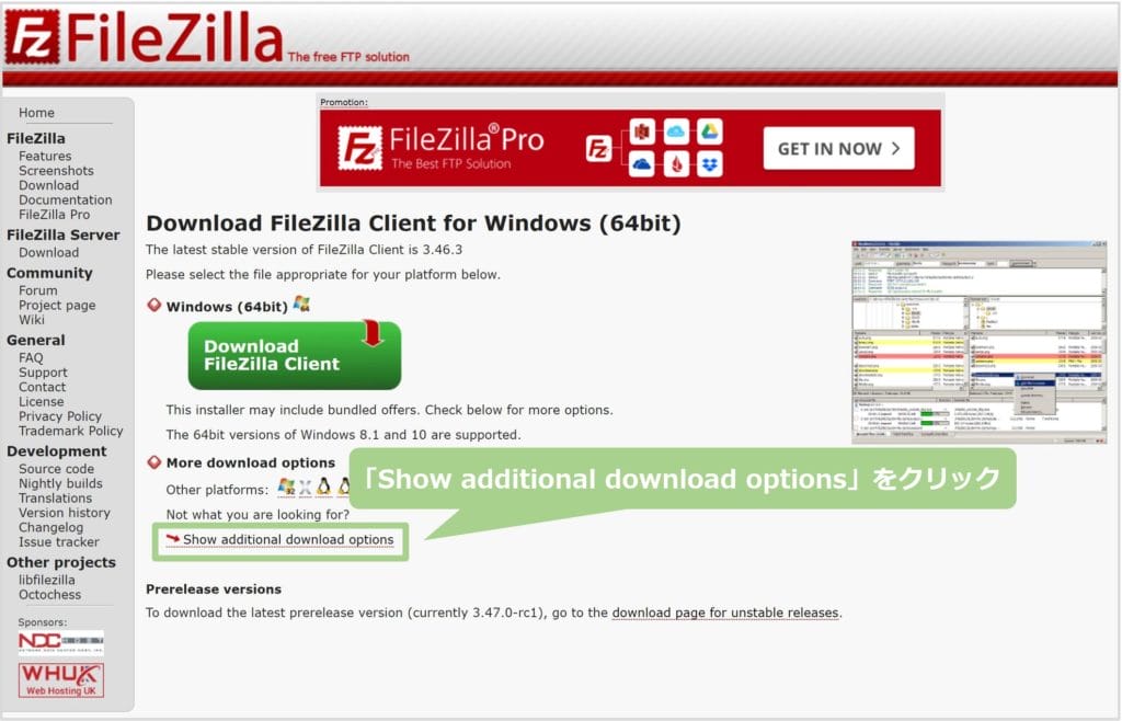 Show additional download optionsをクリック