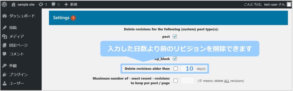 リビジョンを削除する基準日を入力